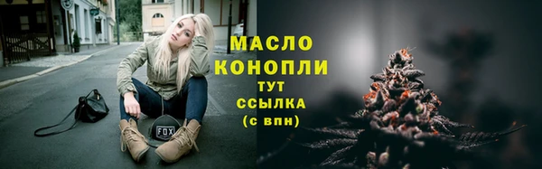 индика Абдулино