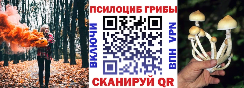 как найти закладки  Ильский  Галлюциногенные грибы GOLDEN TEACHER 